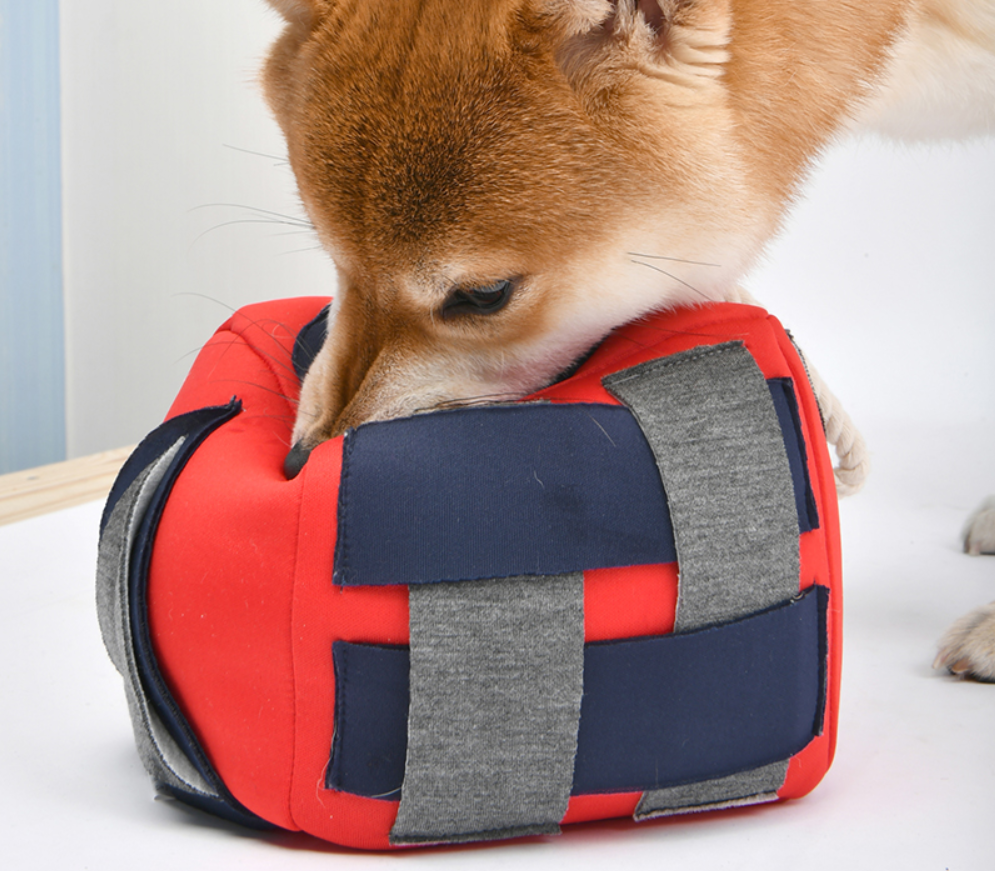 Puppia Aktivitetskub Roller 14x14x14cm Röd  - 6