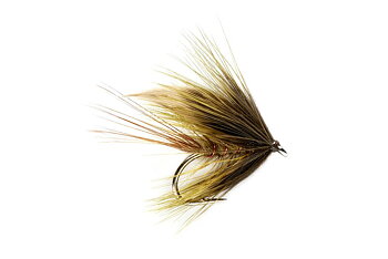 Hatching Dirty Olive