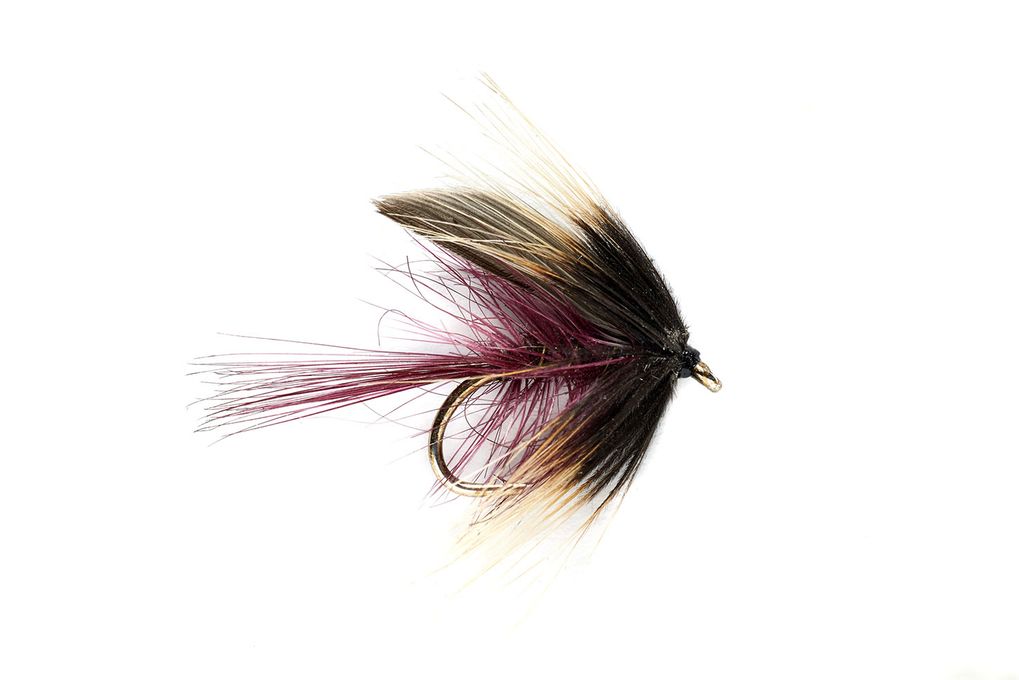 Claret Hatching Olive