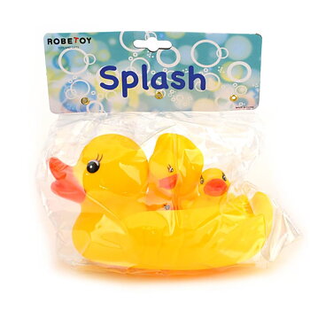 Floating duck family
