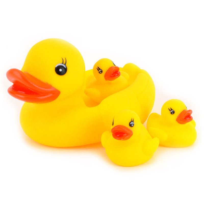 Floating duck family