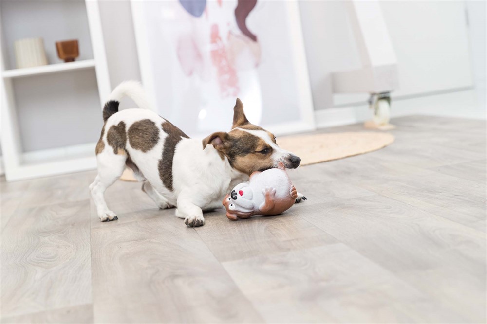 Trixie Hundleksak Latex Hund 14cm Flerfärgad - 2