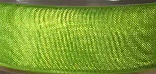 Organza Band - 25