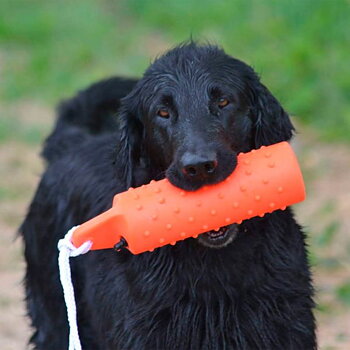 Dogman Hundleksak Dummie Flytande Orange Small 26cm