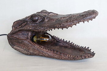 Crocodile head Lamp 36x23x21 cm