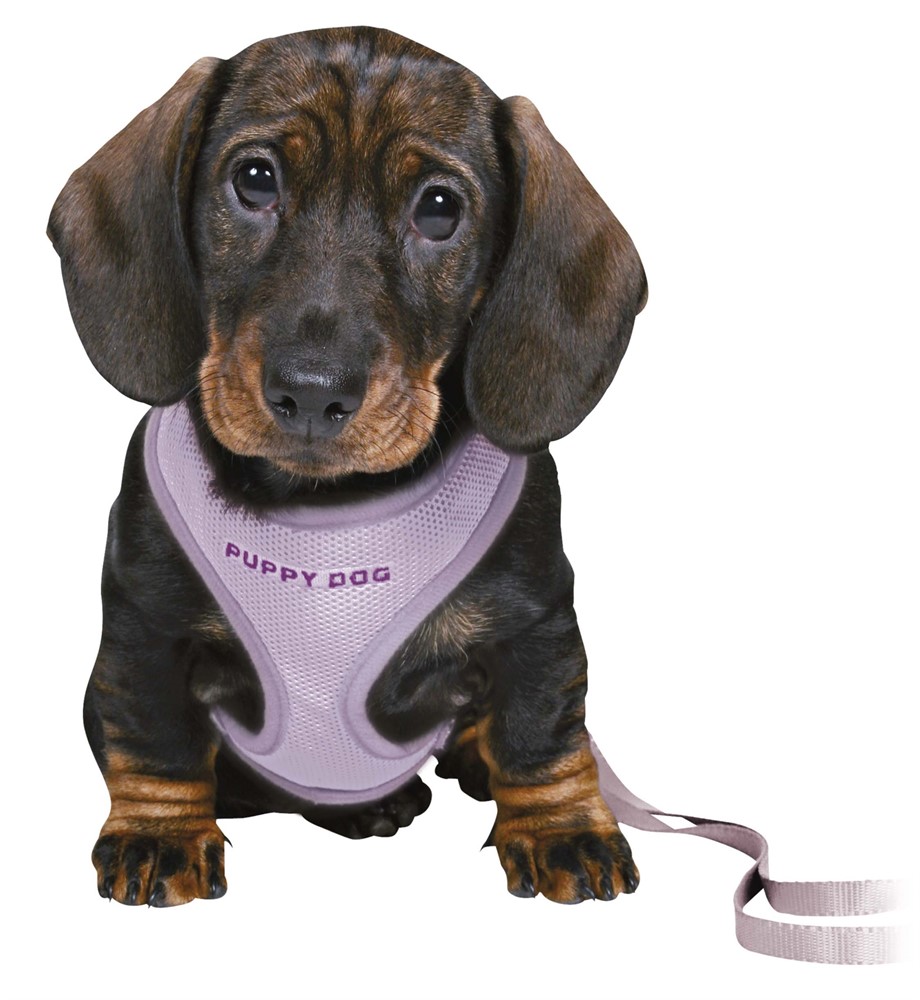 Trixie Junior Mjuk Sele Med Koppel Small-Medium 26-34cm x 10mm, 200cm Ljuslila - 2