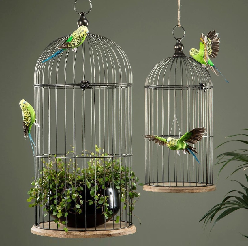 Undulat fågel shabby chic lantlig stil Gårdsromantik - 2
