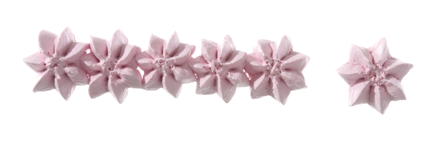 Icing tipsset 5 pcs - different shapes - 3