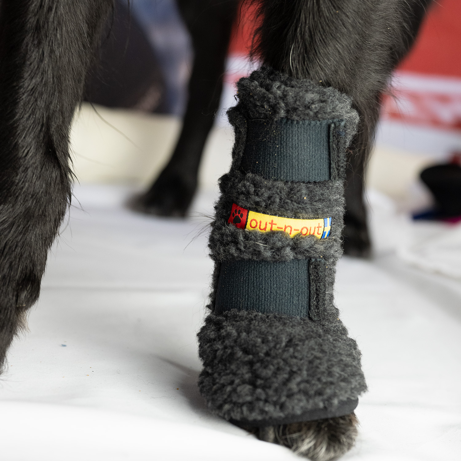 Hund-Handgelenkwärmer - 3