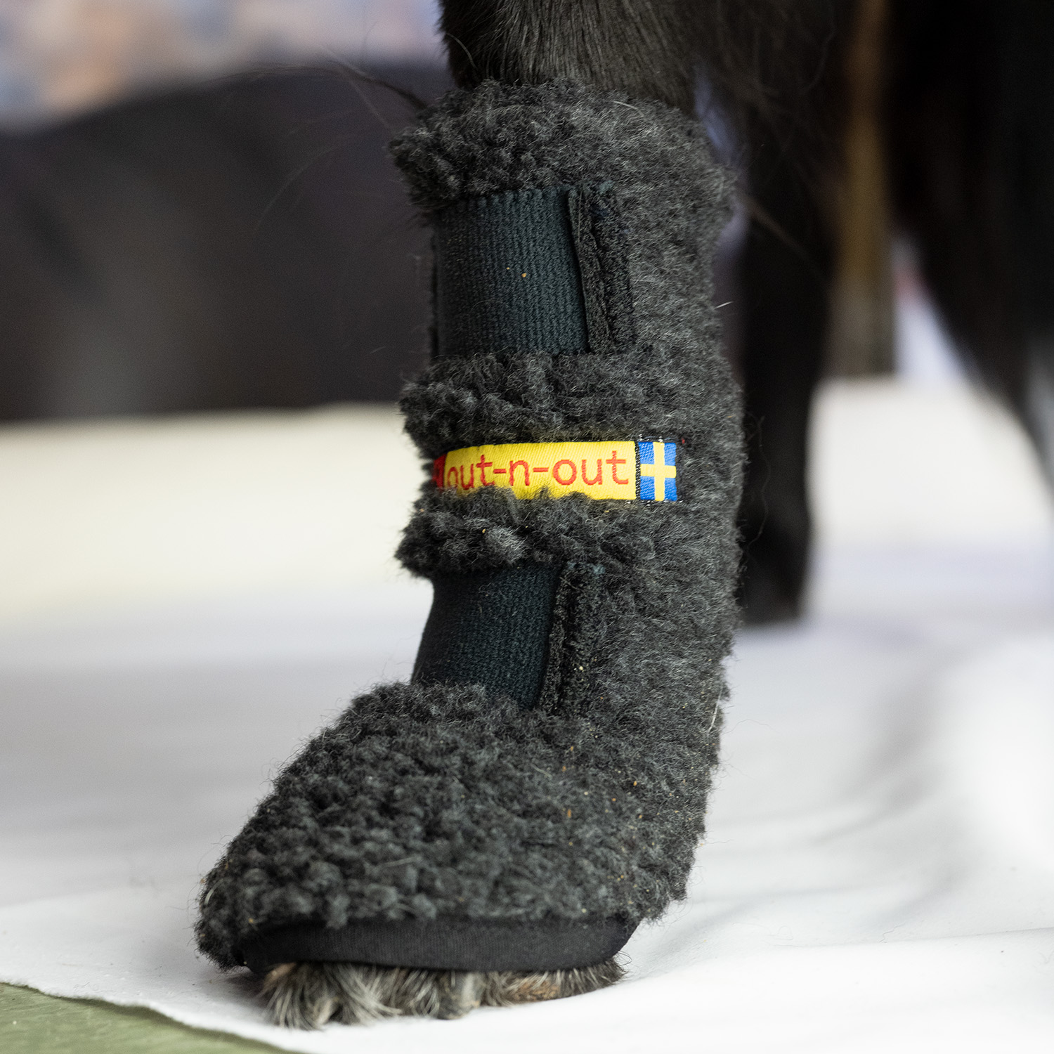 Wrist Warmer for Dogs