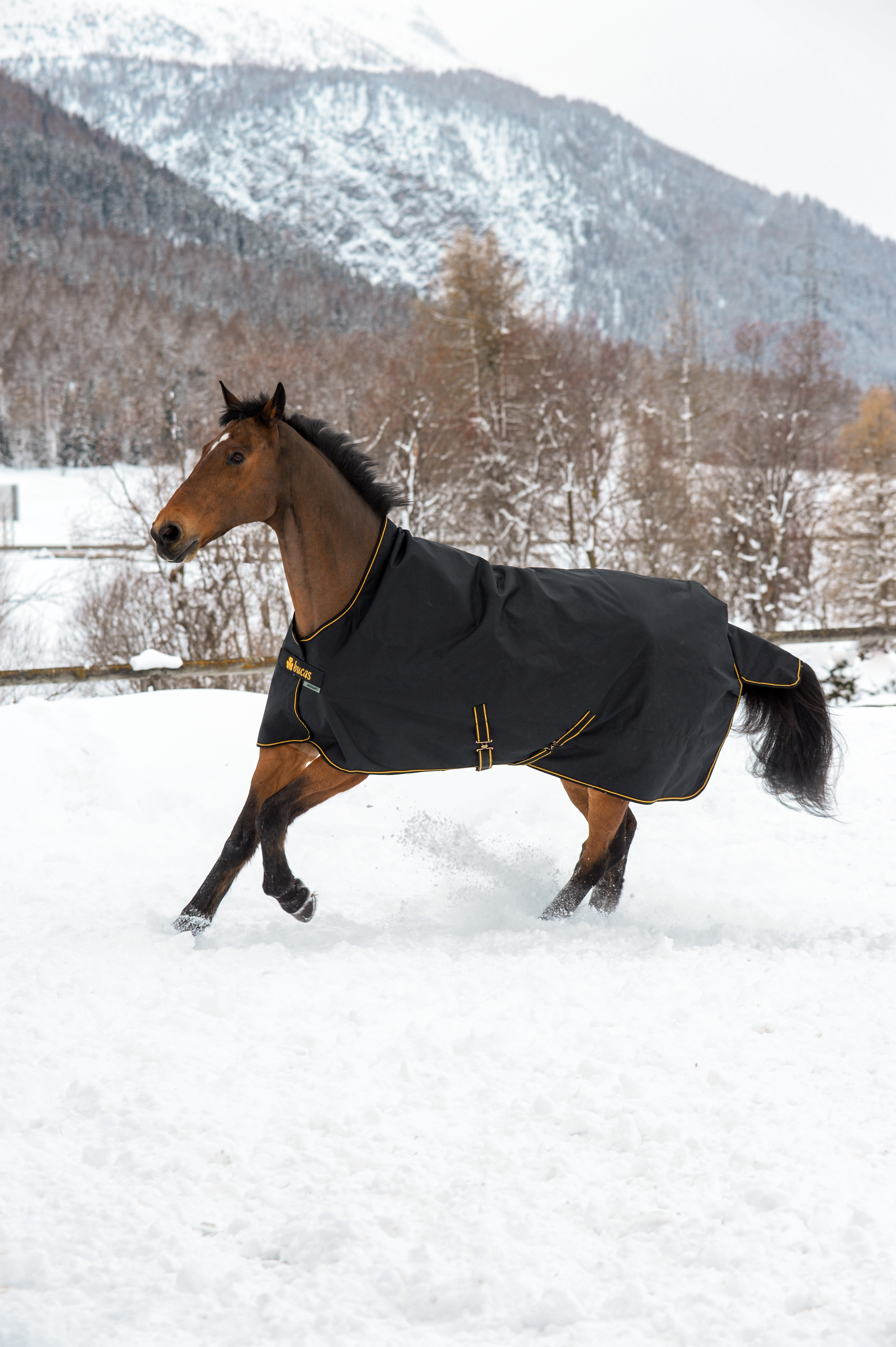 Bucas Irish Turnout 300g High Neck