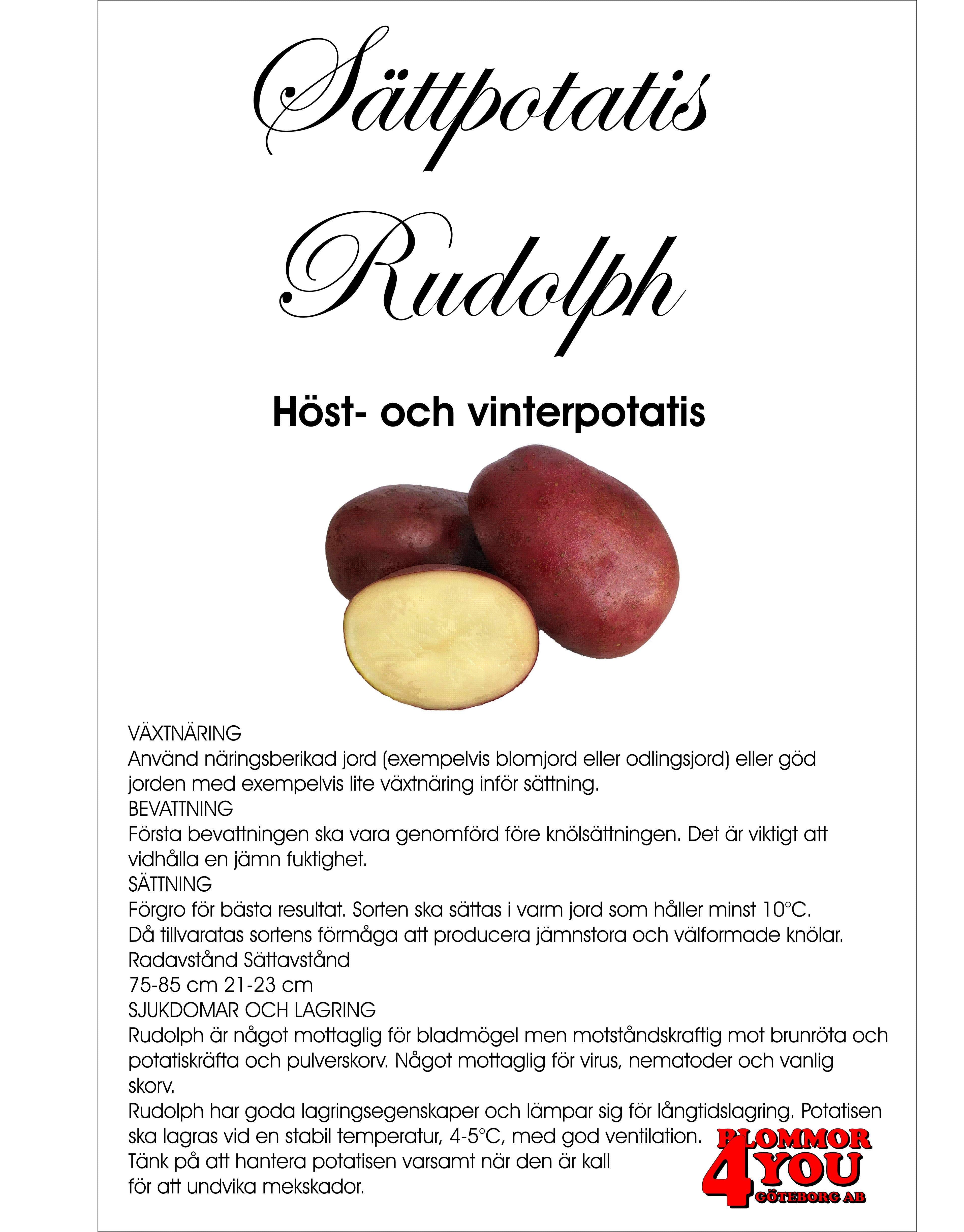 Sättpotatis Rudolph 2 Kilo