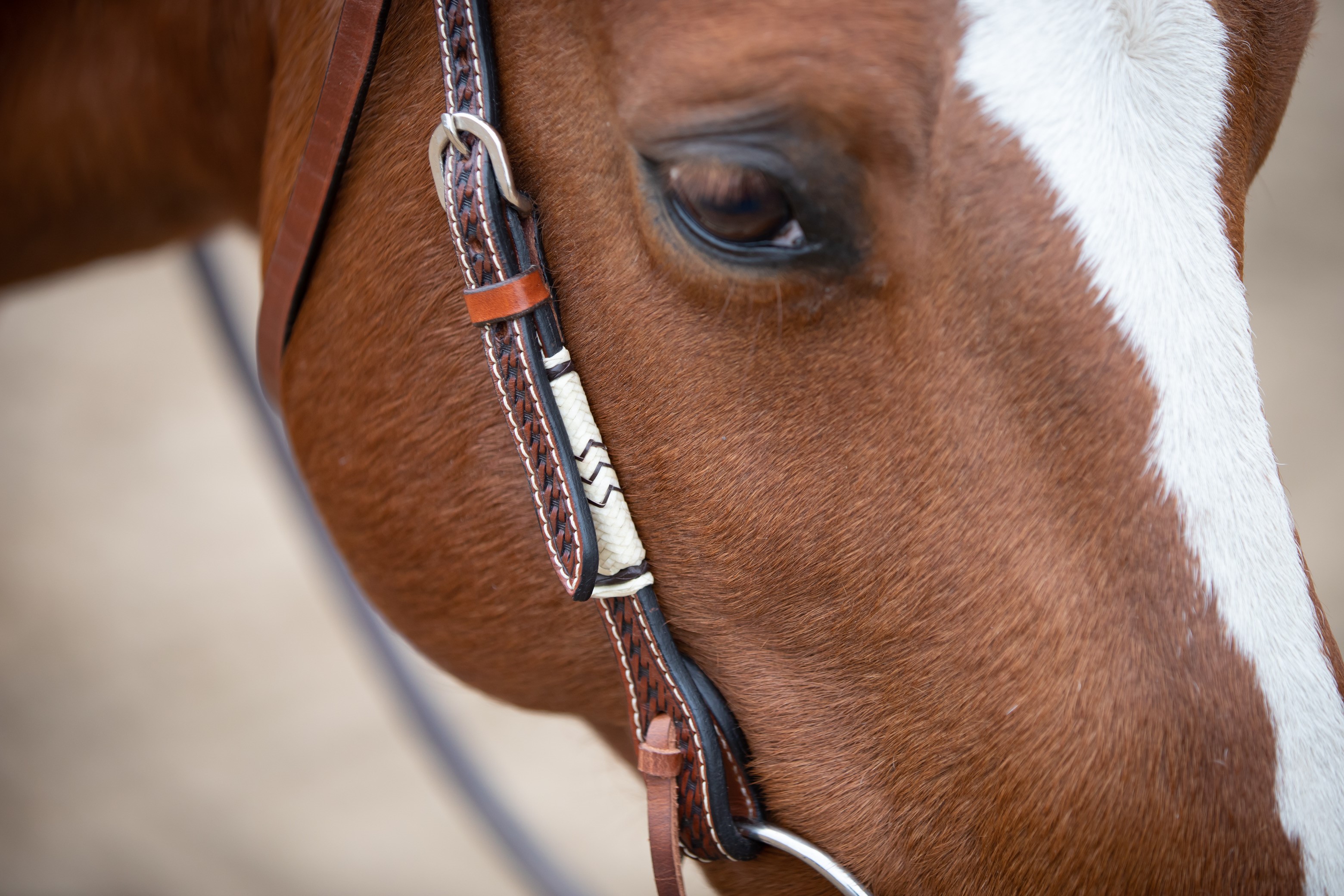 All That Idaho Headstall - 5