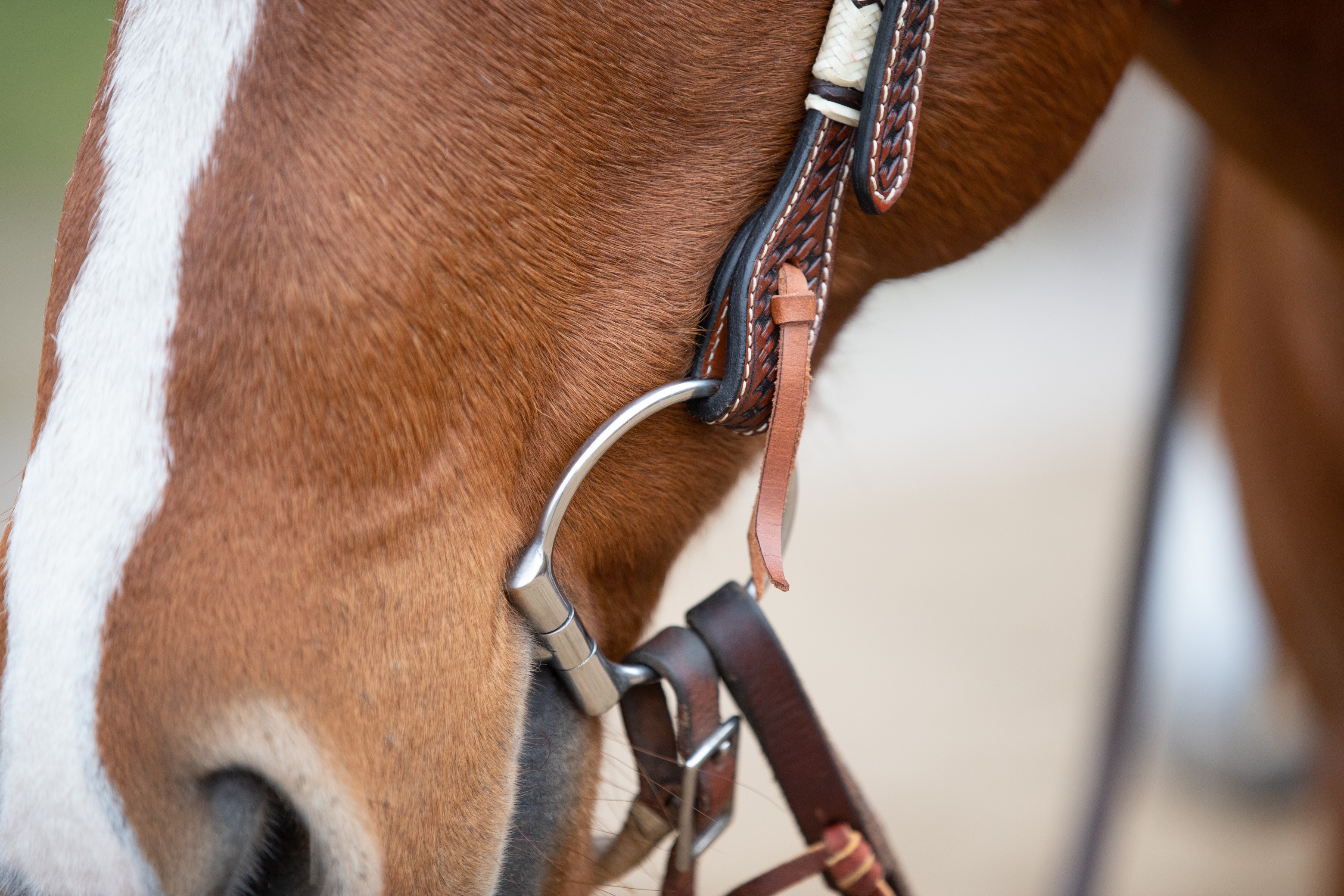 All That Idaho Headstall - 6