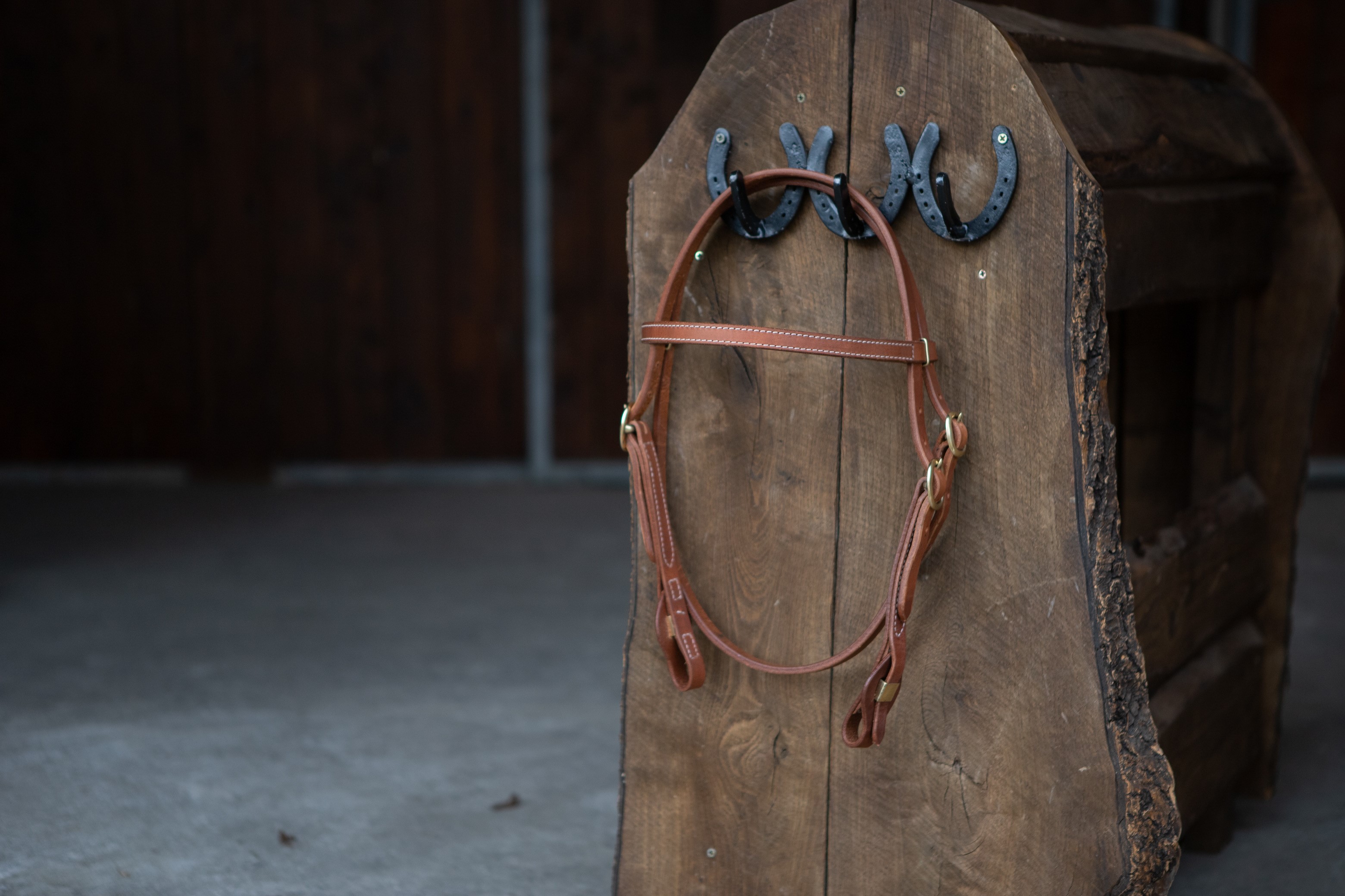 All That Nebraska Headstall