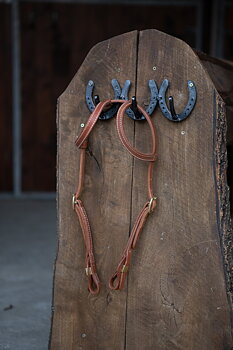 All That Nebraska Double Ear Headstall