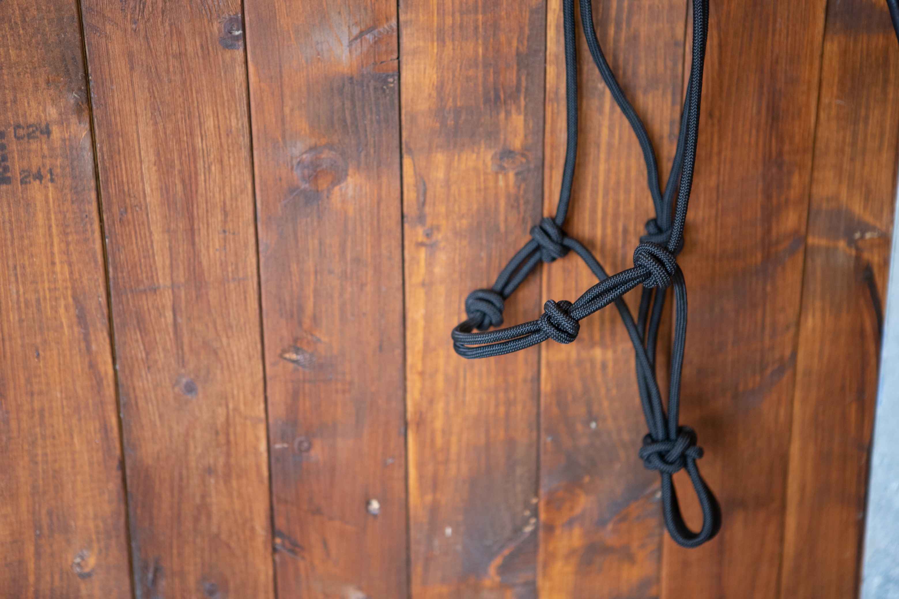 All That Training Rope Halter - 2
