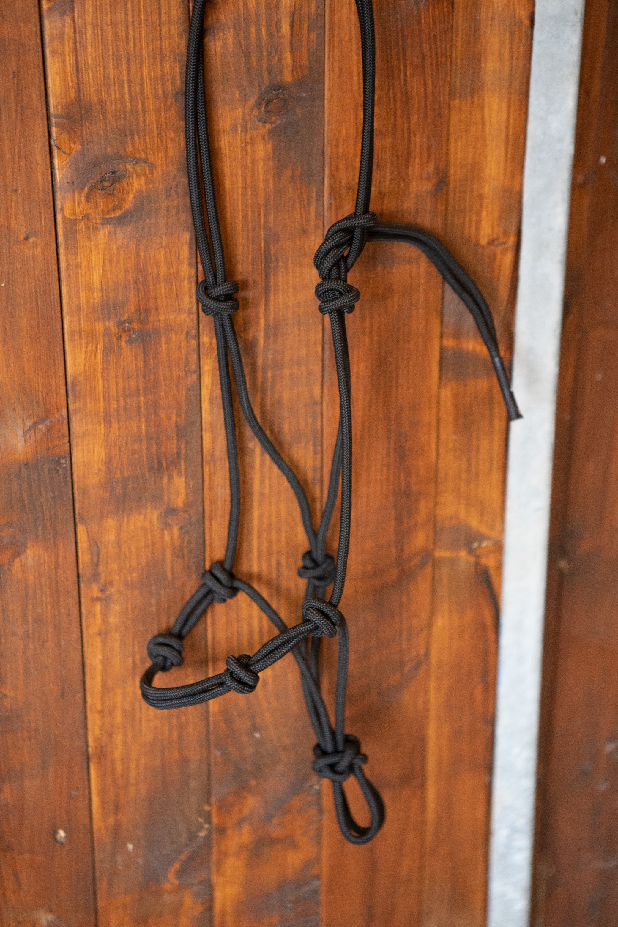All That Training Rope Halter - 3