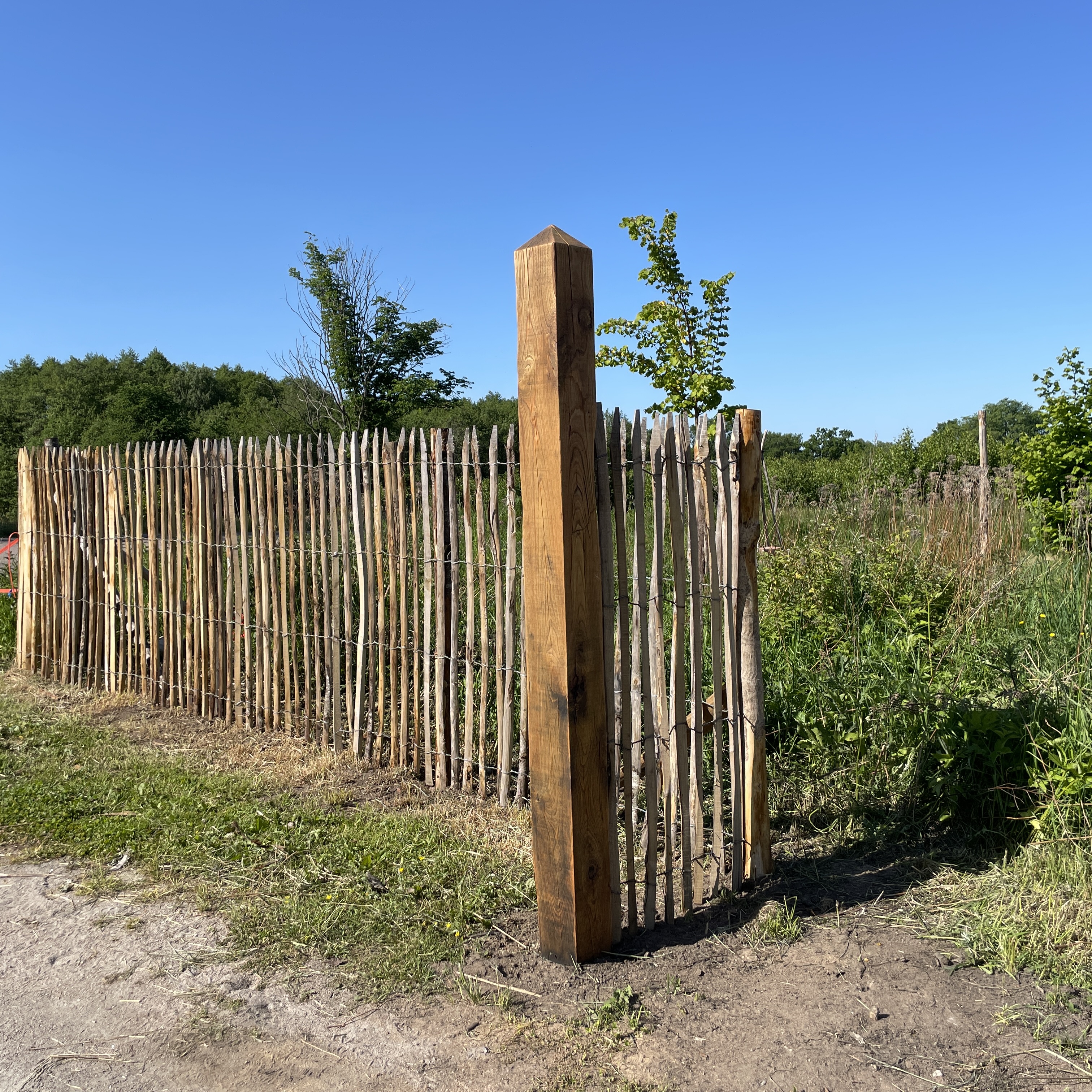 Kastanjestaket glest, höjd 150 cm längd 5 meter, italienskt