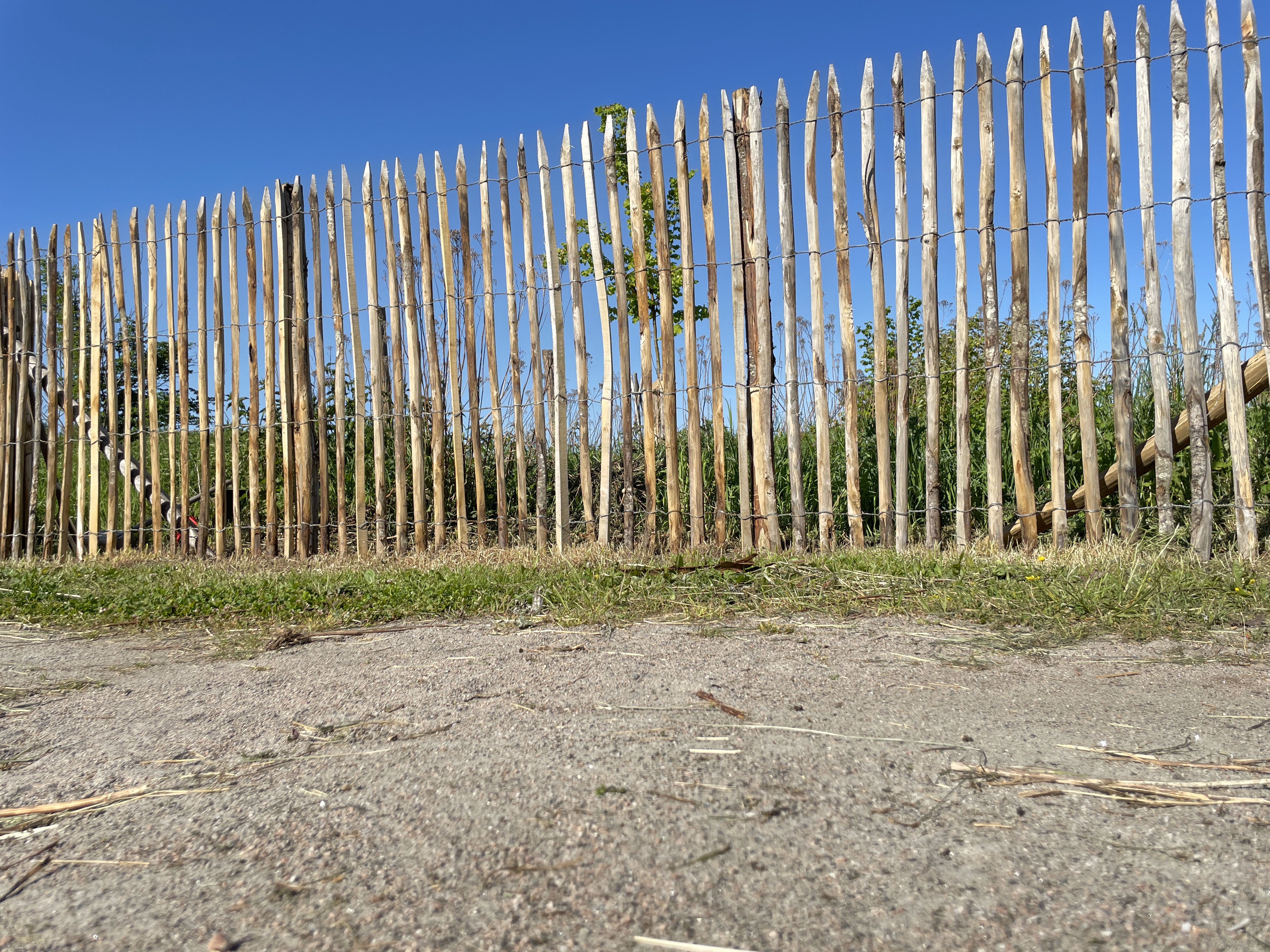 Kastanjestaket glest, höjd 150 cm längd 5 meter, italienskt - 5