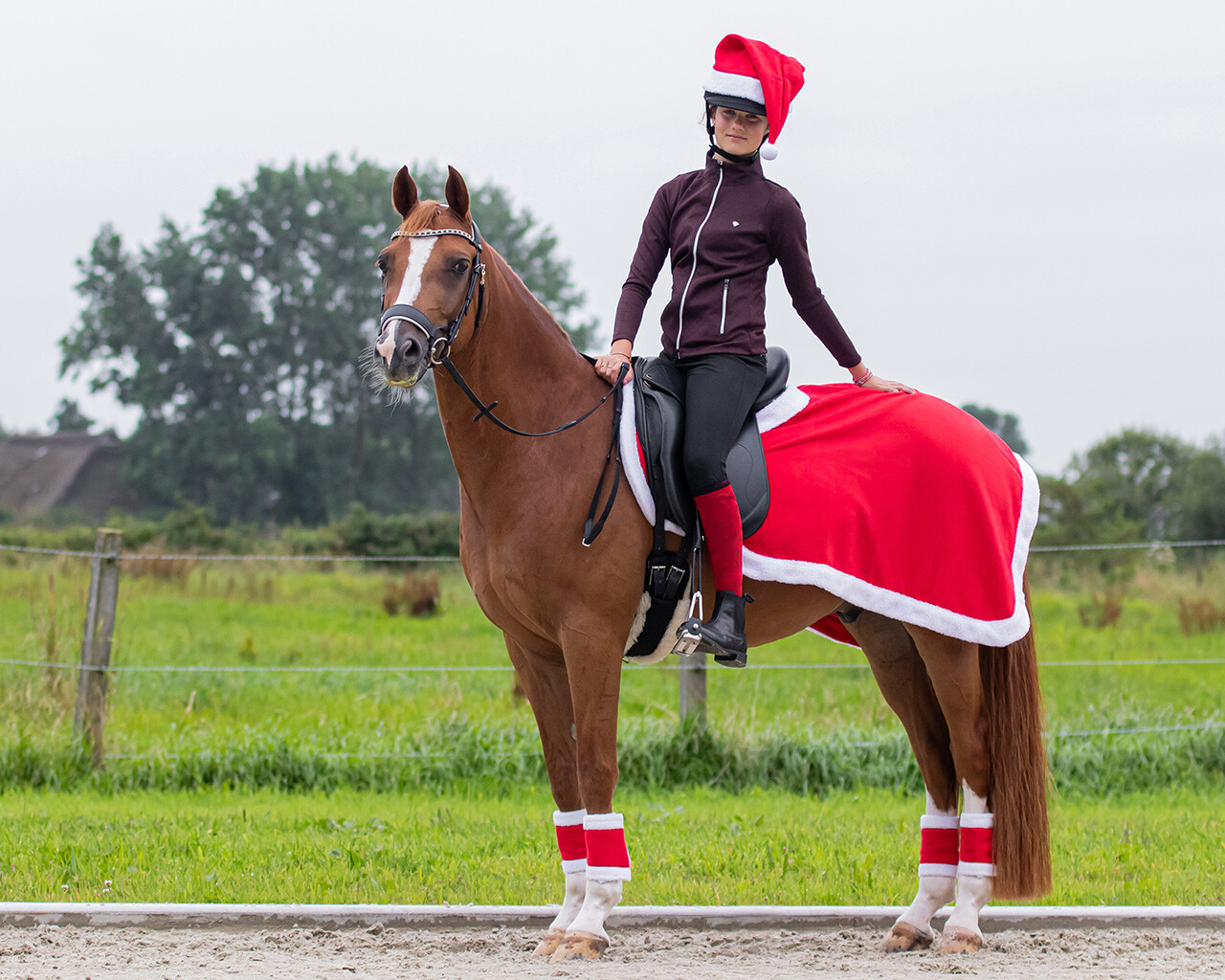 Christmas Exercise Sheet - Full  - 2