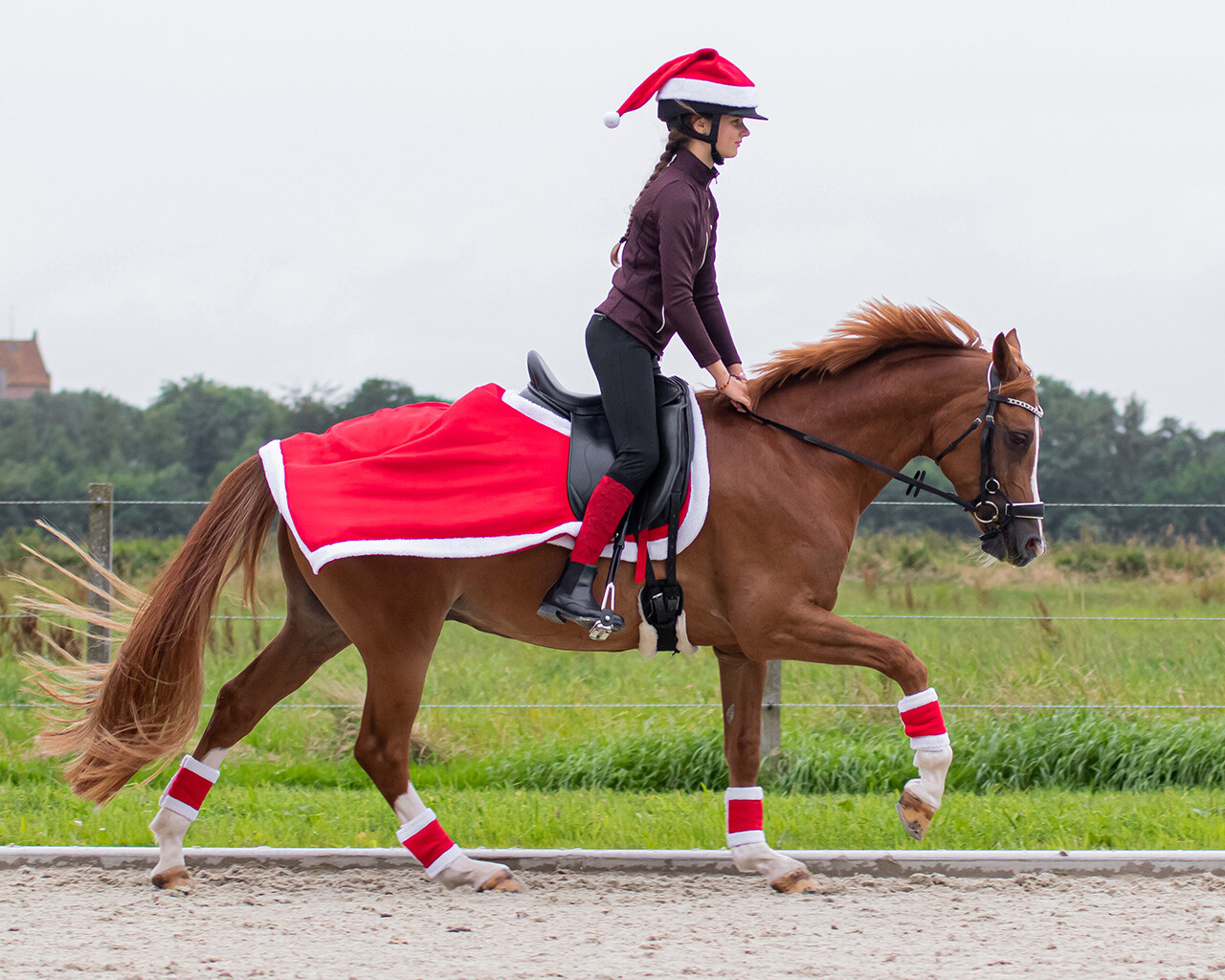 Christmas Exercise Sheet - Full  - 3