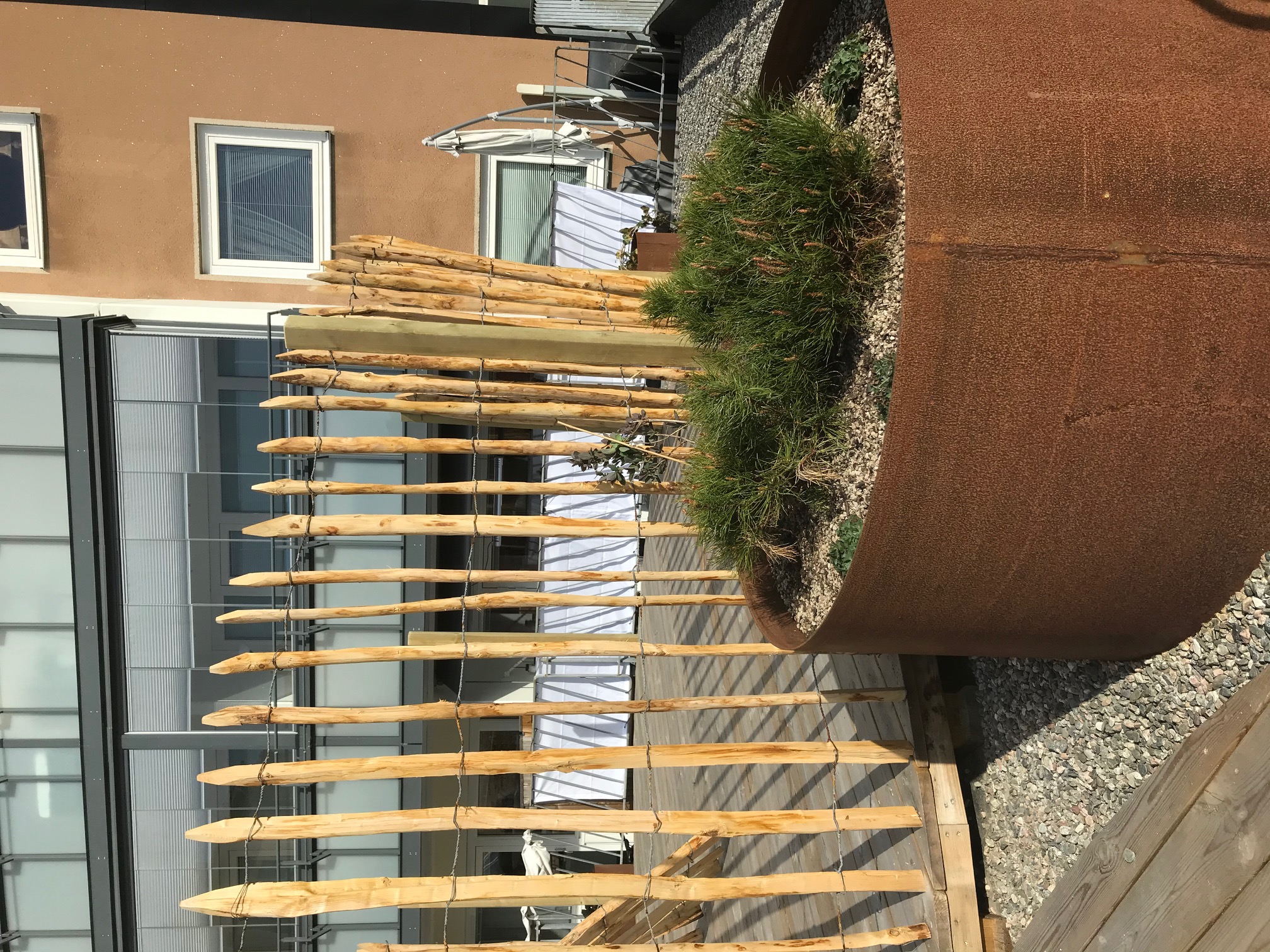 Kastanjestaket glest, höjd 120 cm längd 5 meter, franskt - 5