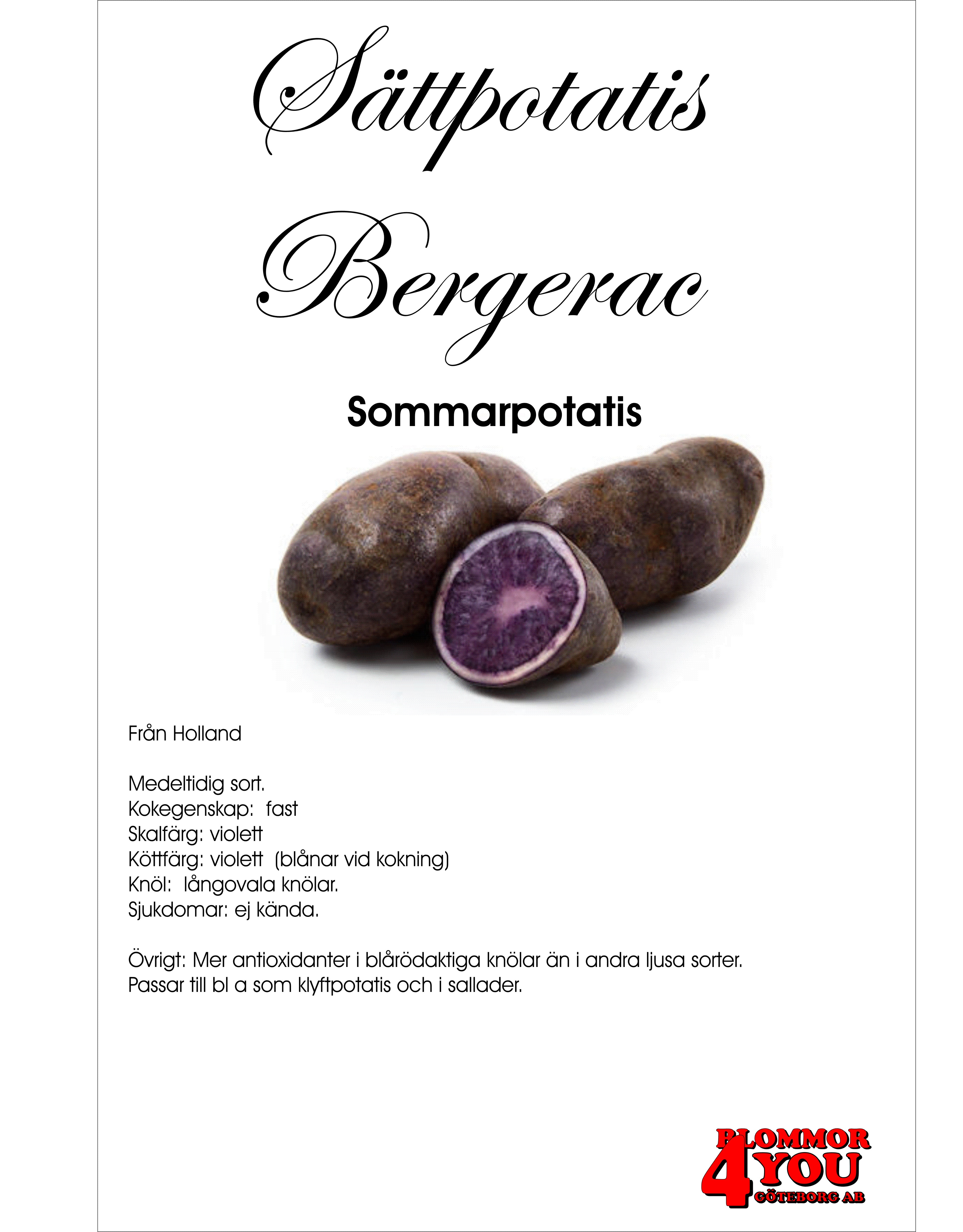 Sättpotatis Bergerac  1 Kilo