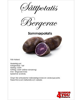 Sättpotatis Bergerac  1 Kilo