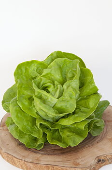 Gustav´s Salad