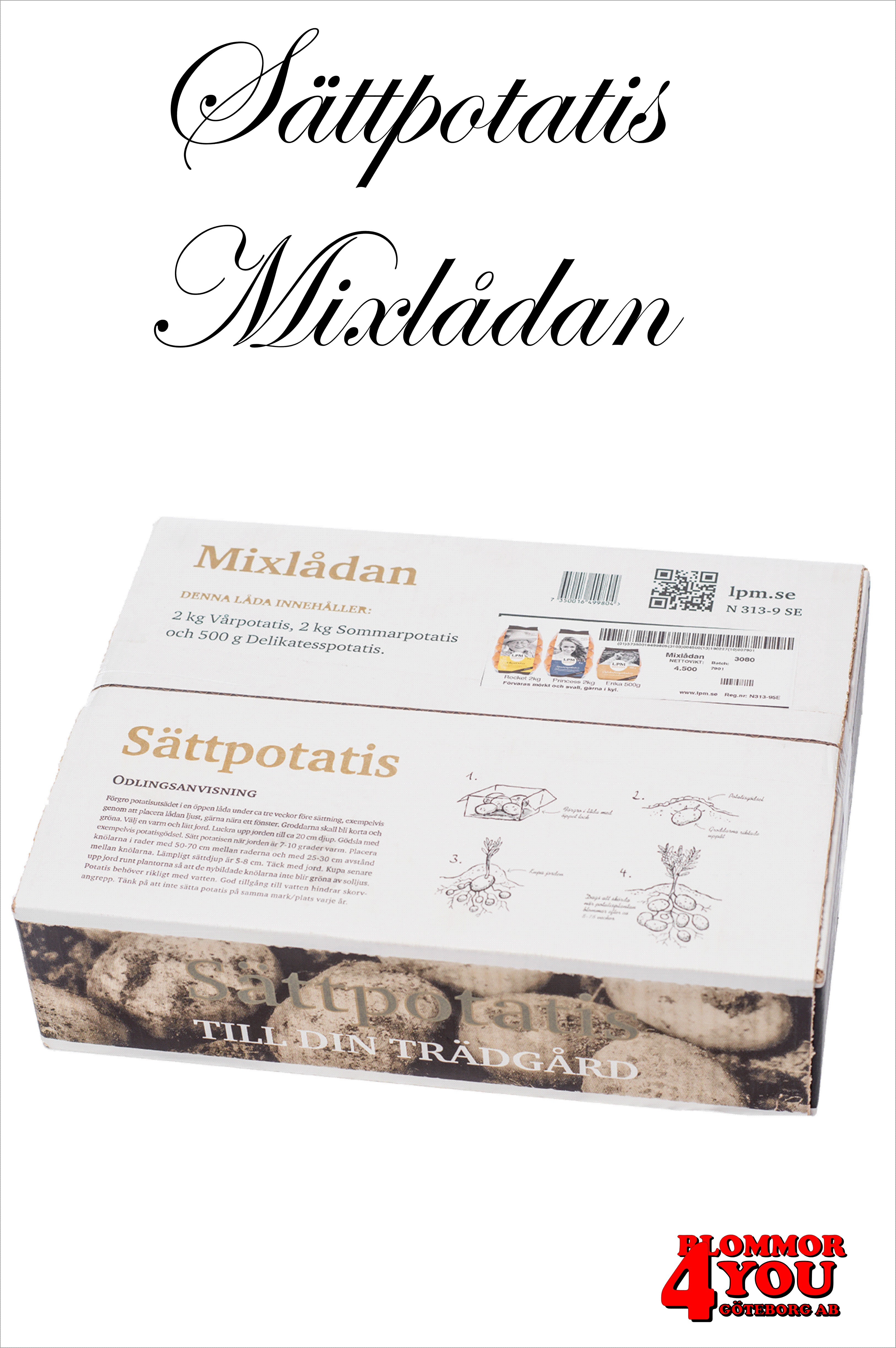 Erbjudande !! Sättpotatis Mixlådan 4,5 kg