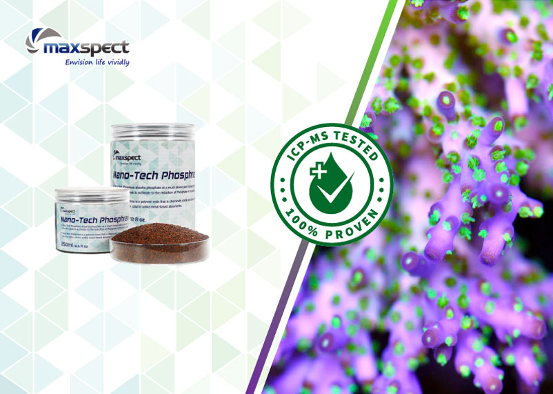 Maxspect Nano Tech Phosphree