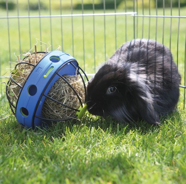 Matbehållare Bunny Blå 20cm - 4