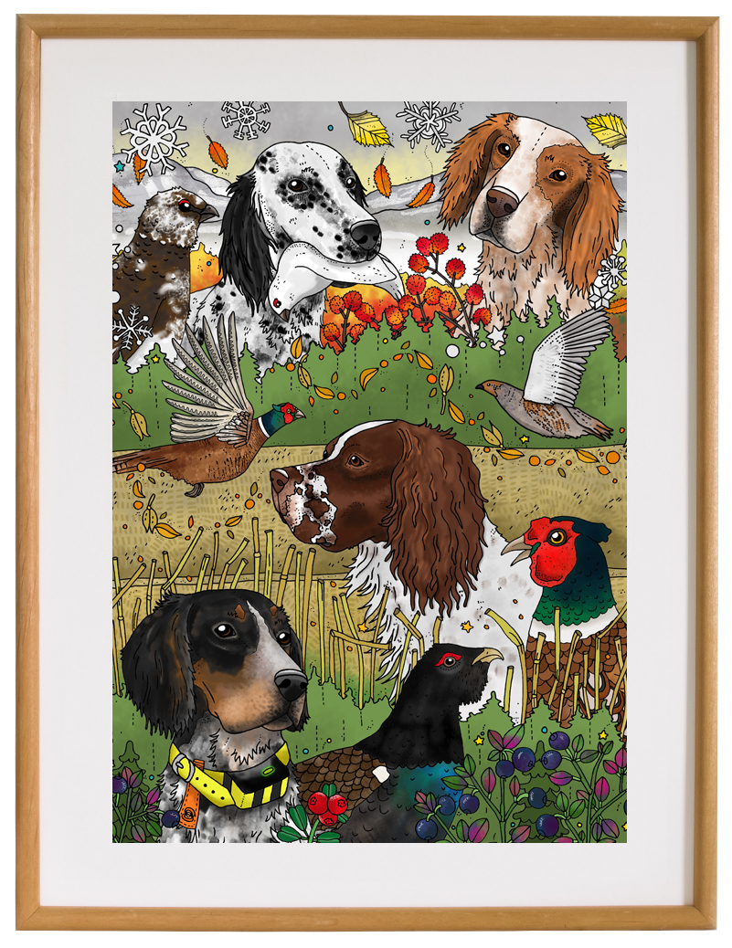 Affisch Engelsk setter, 30x40 cm