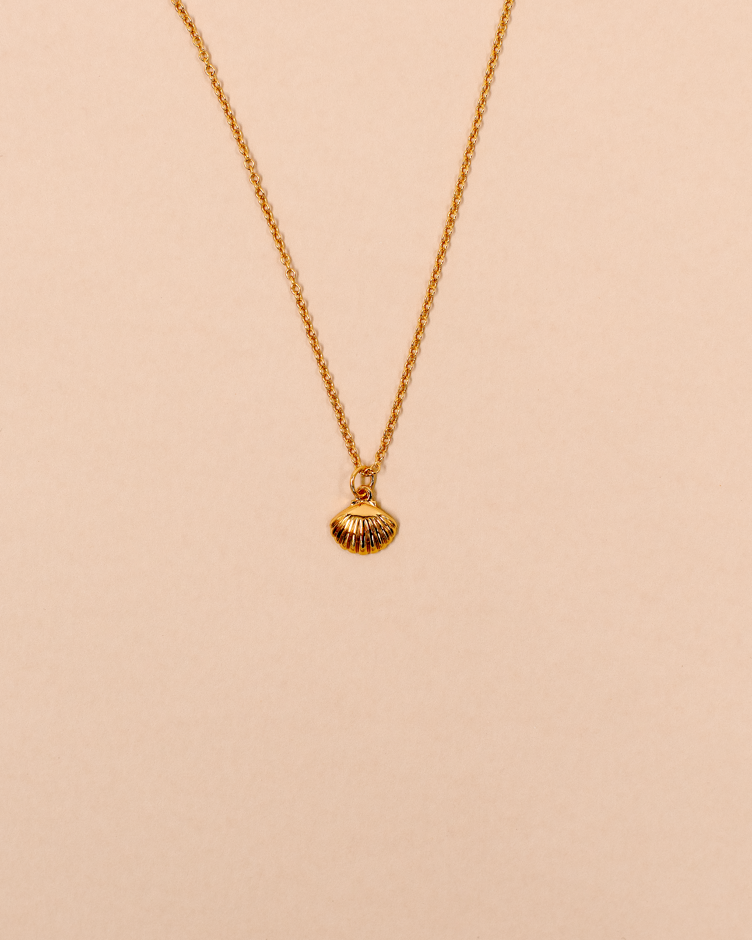 Halsband, snäcka