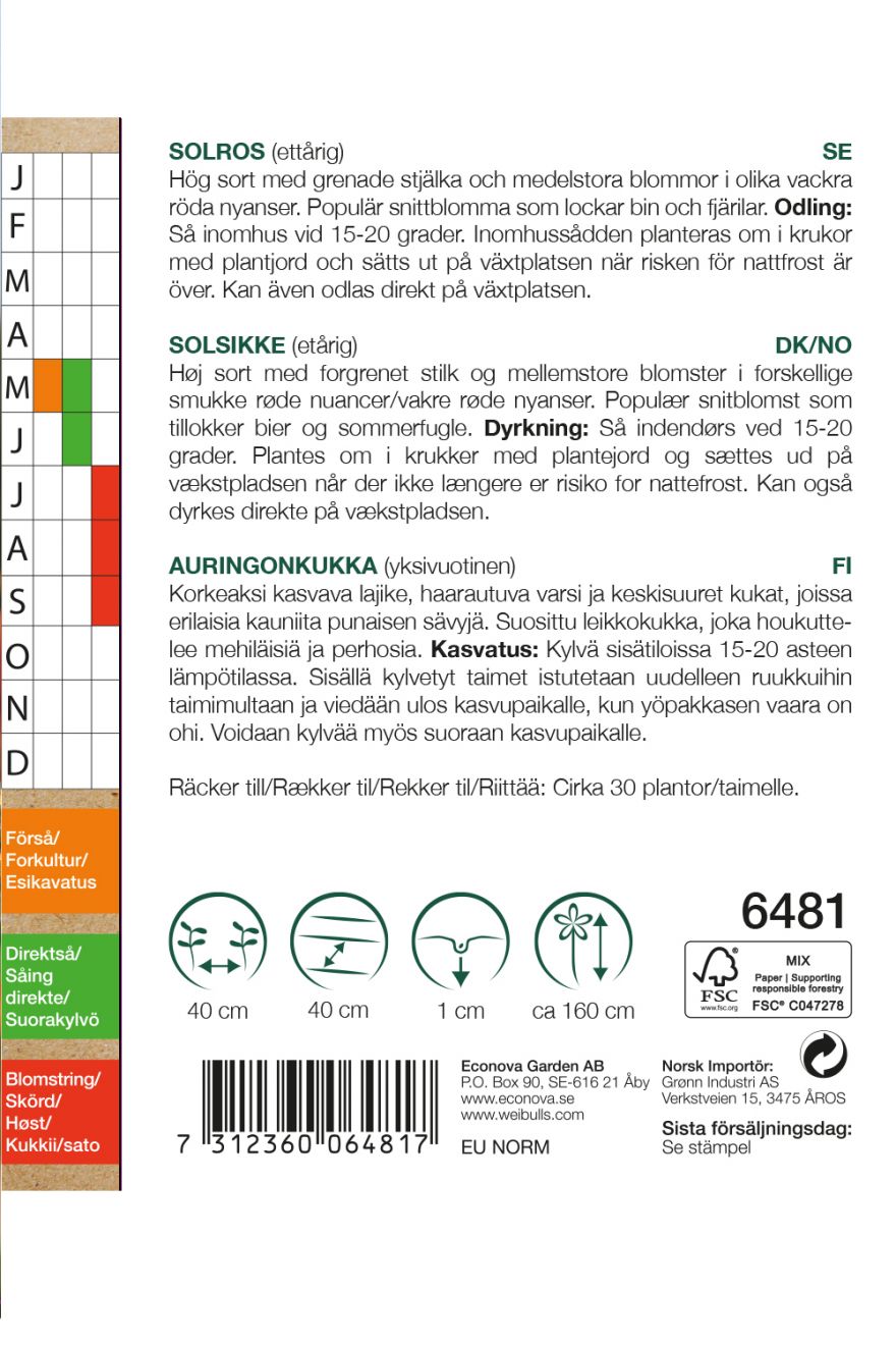 6481, Solros KRAV Röd  Helianthus annuus - 2