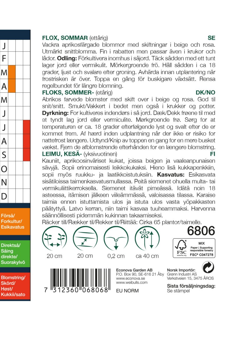 6806, Flox Creme Brulee   Phlox drummondii - 2