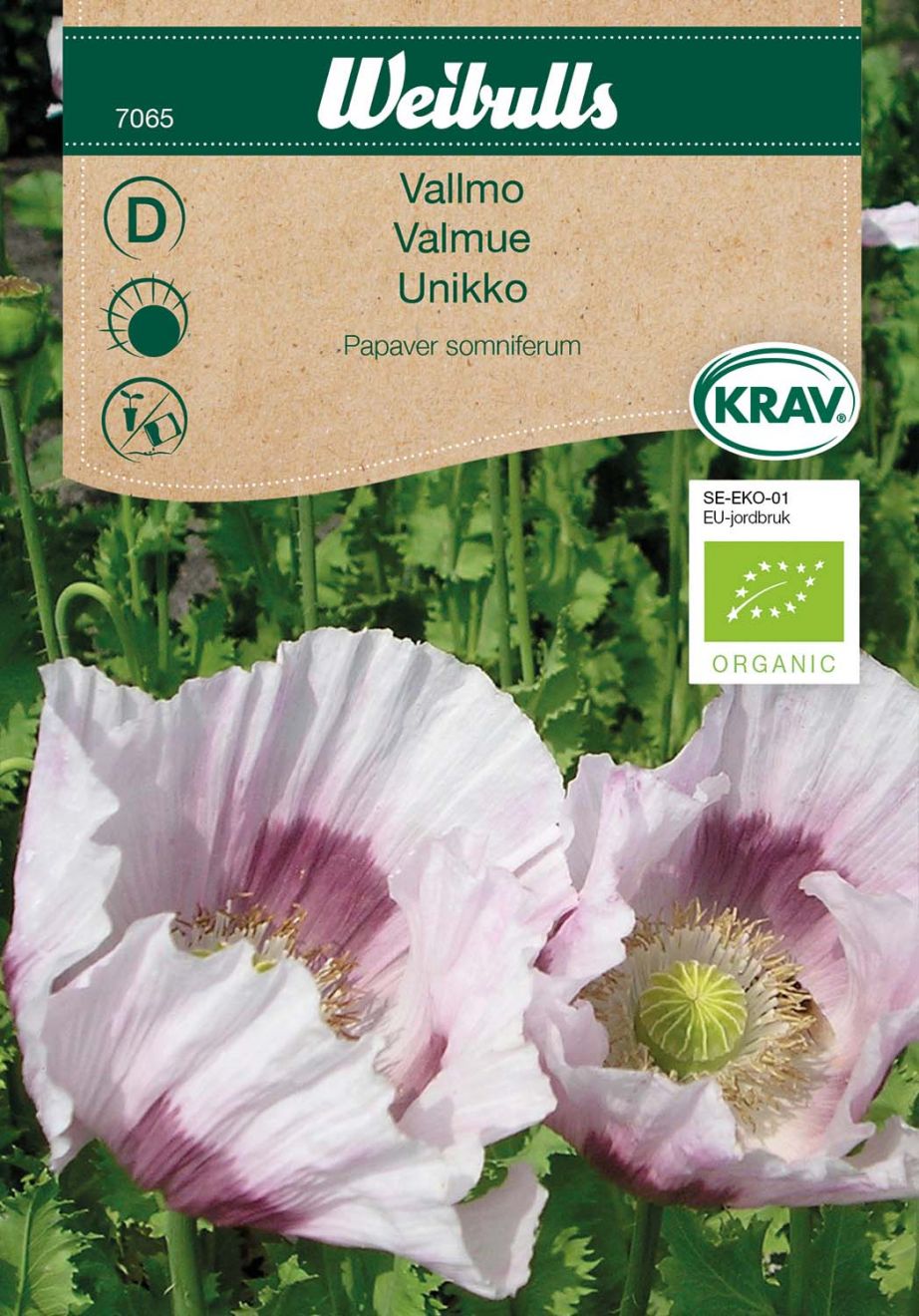 7065, Vallmo KRAV vit Papaver somniferum
