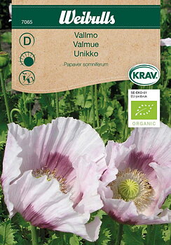 7065, Vallmo KRAV vit Papaver somniferum