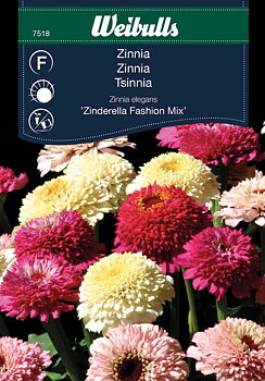 7518, Zinnia Zinderella Fashion mix   Zinnia elegans