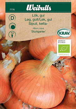 7776, Lök, Gul KRAV Stuttgarter   Allium cepa