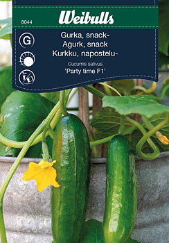 8044, Gurka, snack-Party time F1 Cucumis sativus