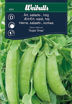 8523, Ärt, sallads-, hög Sugar Snap Pisum Sativum