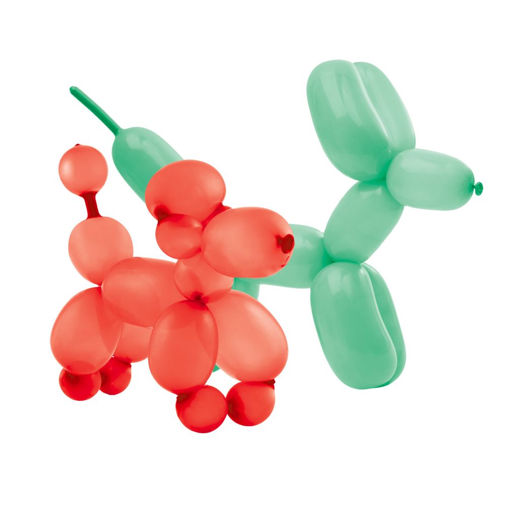 Balloon Modelling Kit - 2