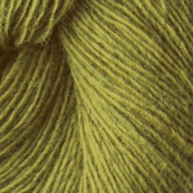 Spinni 15 s