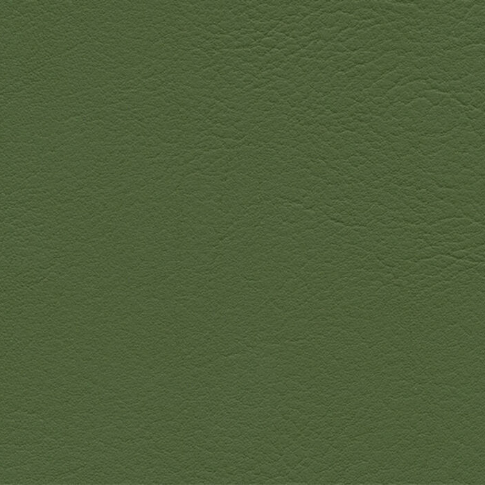Evida Dark Moss