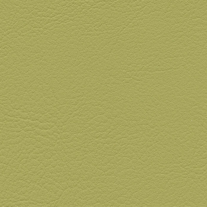 Evida Olivegreen