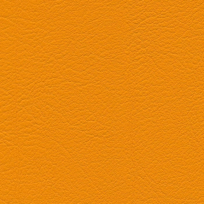 Evida Mango