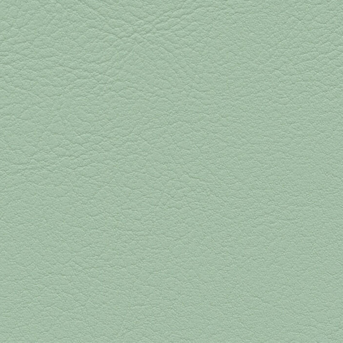 Evida Sage
