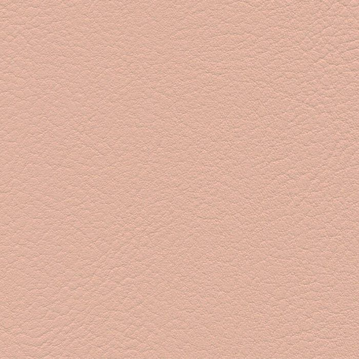 Evida Rosé